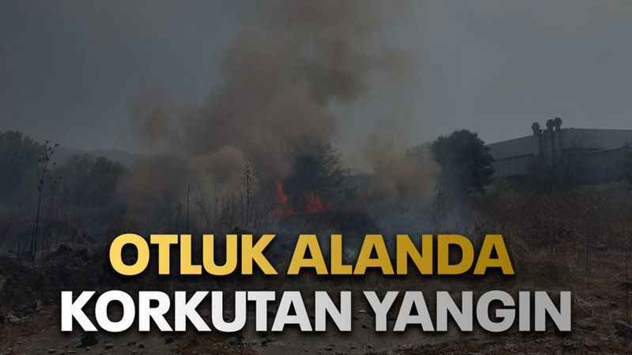 Otluk alanda korkutan yangın